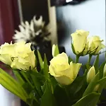 Appartement And