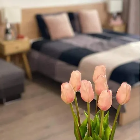 And Apartamento Velence