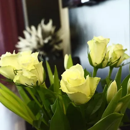 Apartment And