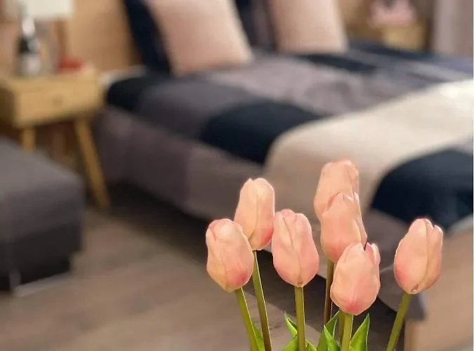 And Appartement Velence