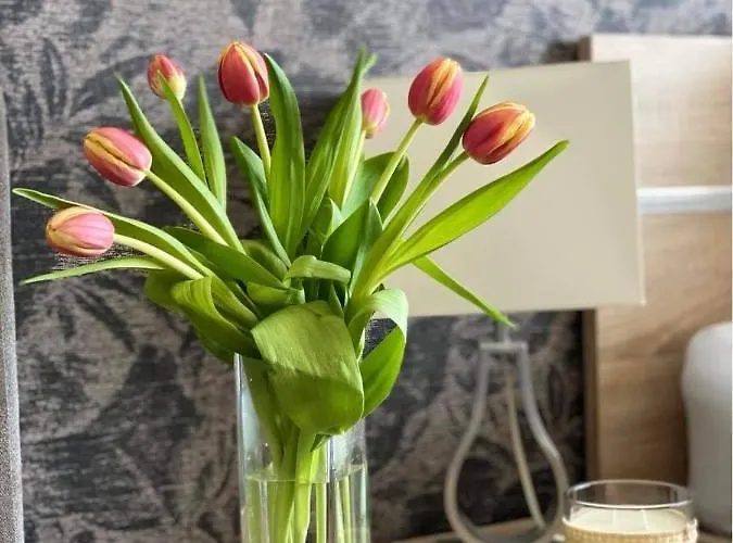 Διαμέρισμα And *